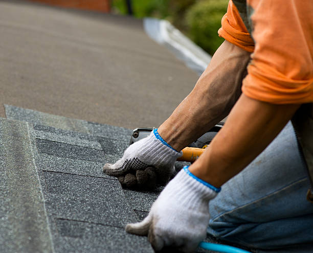 Quick and Trustworthy Emergency Roof Repair Services in Allentown, PA